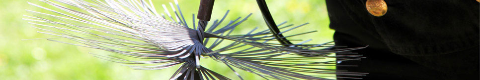 Banner - Meik Rondorf